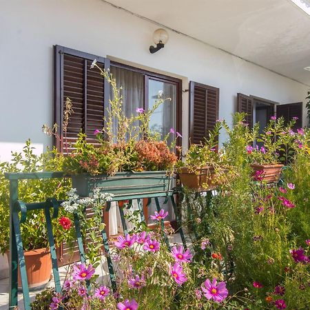 Apartment Vinka Trogir Zewnętrze zdjęcie